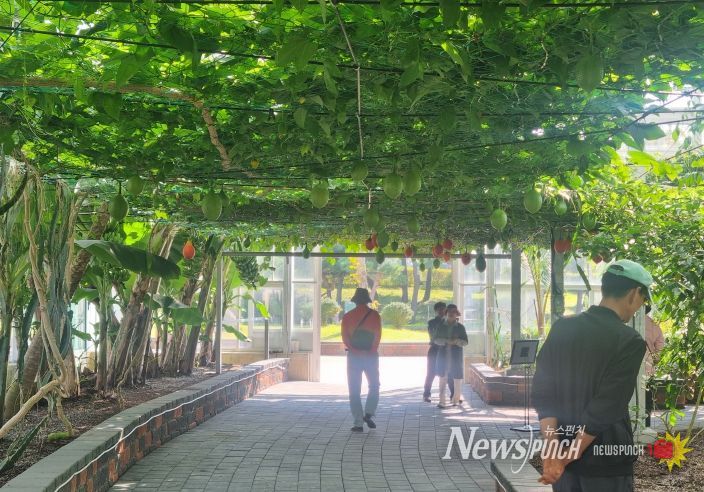 함평군 아열대농업관, 이색 체험으로 인기몰이!