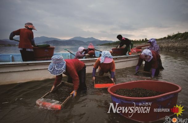 광양시, 세계중요농업유산 등재‧