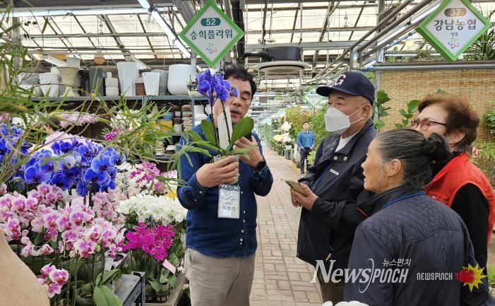 ‘양재동 꽃시장’ 현장 체험 사진