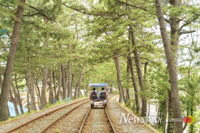 해양레일바이크