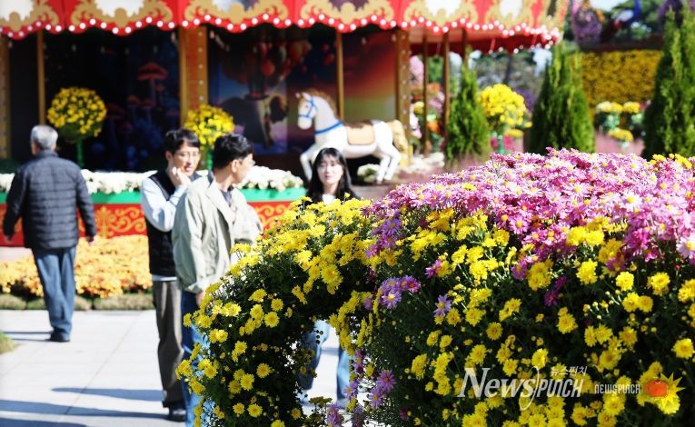 2025 대한민국 국향대전 회전목마 포토존, 국화 만개 전경