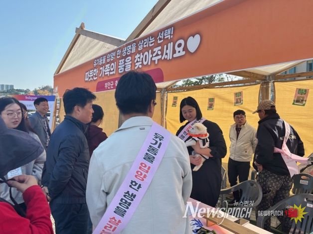 부안군, 유기동물 입양 홍보부스 운영