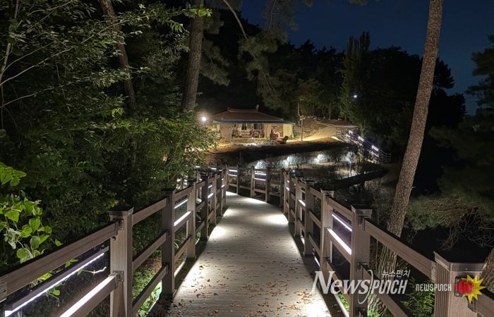 호가정 산책로 야경 사진