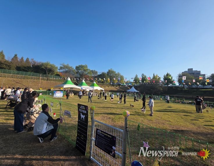 사천시 반려문화축제 ‘우주 댕런 펫스타 4000’ 성황리에 마무리