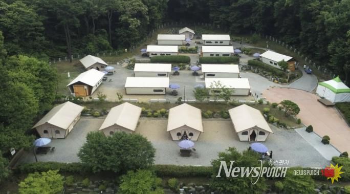초막골생태공원 느티나무야영장 사진