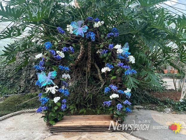 함평군 자연생태공원, 호접란 특별개최전 호접란 포토존