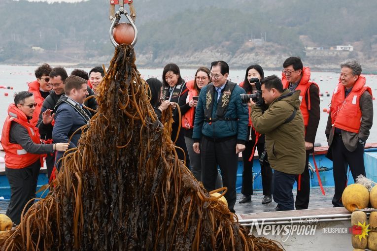 사진은 미 에너지부 산하기관 에너지 고등 계획원(ARPA-E) 관계자 완도군 해조류(미역) 양식장을 방문한 모습