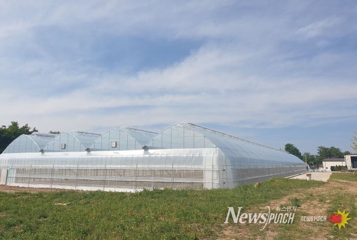 내재해형 비닐하우스