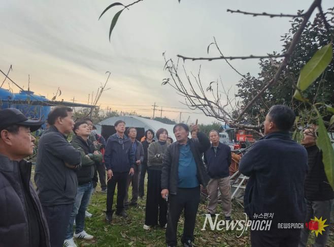 정읍시, “명품 복숭아 비결은 겨울 전정”… 농가 대상 전문 교육