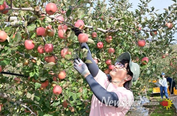 청송군, 가을철 농촌일손돕기 추진