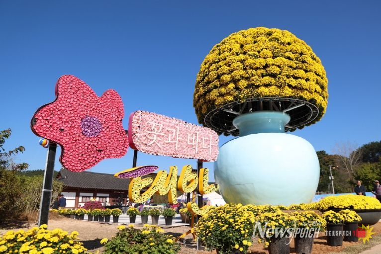 11월 3일 태안 국화축제 모습.