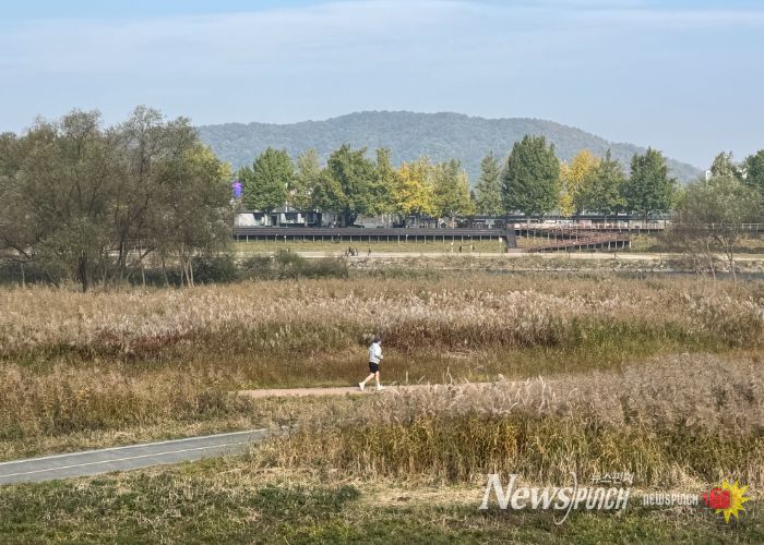 ‘가을의 도시’ 아산서 은빛 억새·황금 단풍 즐겨요