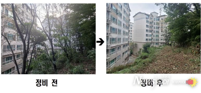 동작구 사당유니드아파트 ‘위험 수목 정비’ 전후 사진