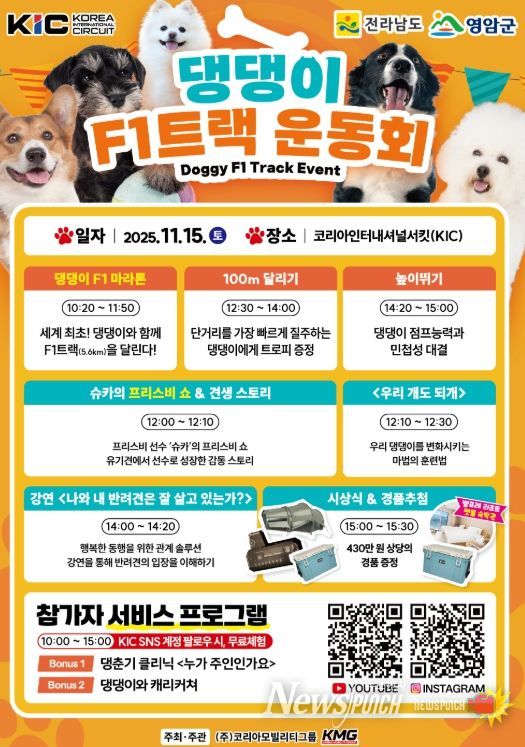 댕댕이 F1트랙 운동회 카드뉴스