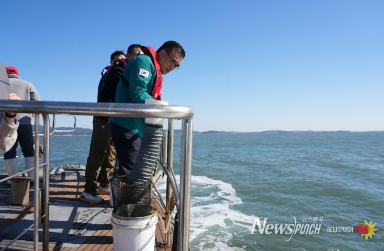 때 이른 황백화에 서천 김 양식 비상