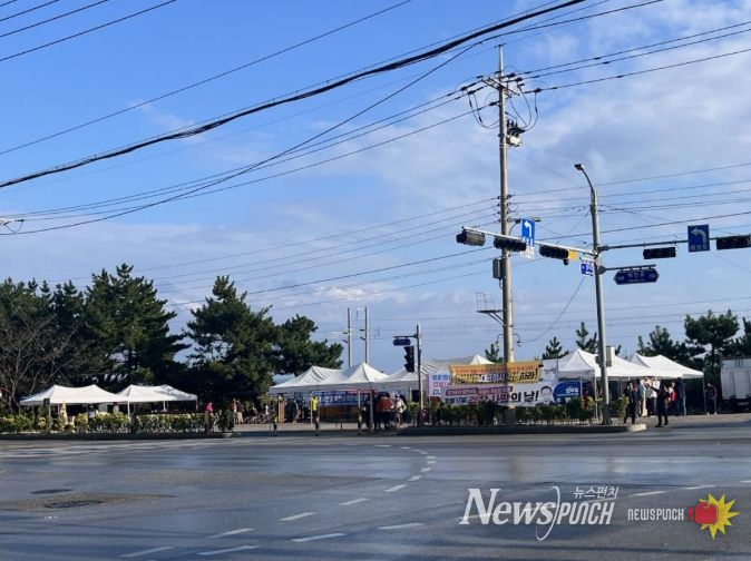 동해시, 11월‘스포츠 열기