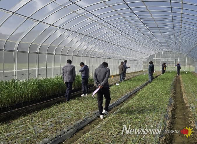남해마늘연구소 '마늘 우량종구 생산' 박차