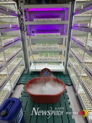 진안군, 전북농업기술원 ‘원예특작 맞춤형 신기술보급’ 공모사업 선정