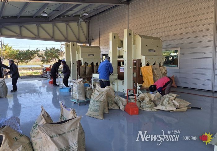 영천시 농기계임대사업소 서부본소에서 콩 정선기를 이용하고 있는 농업인들