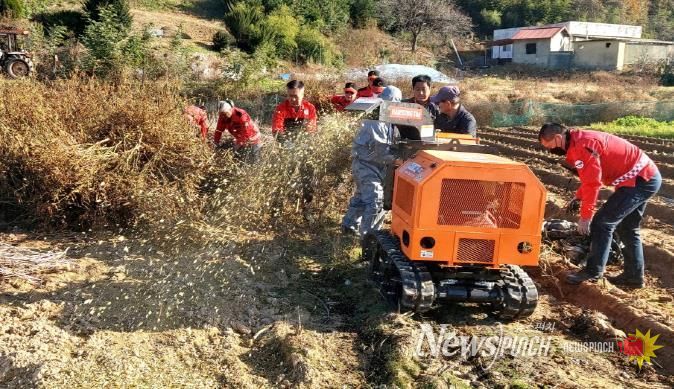 영농부산물 파쇄 모습
