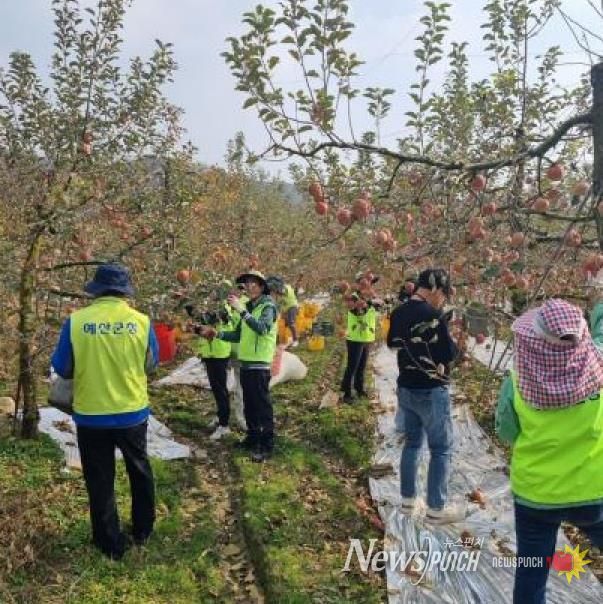 세무과 직원들이 농촌 일손돕기 활동에 참여하는 모습