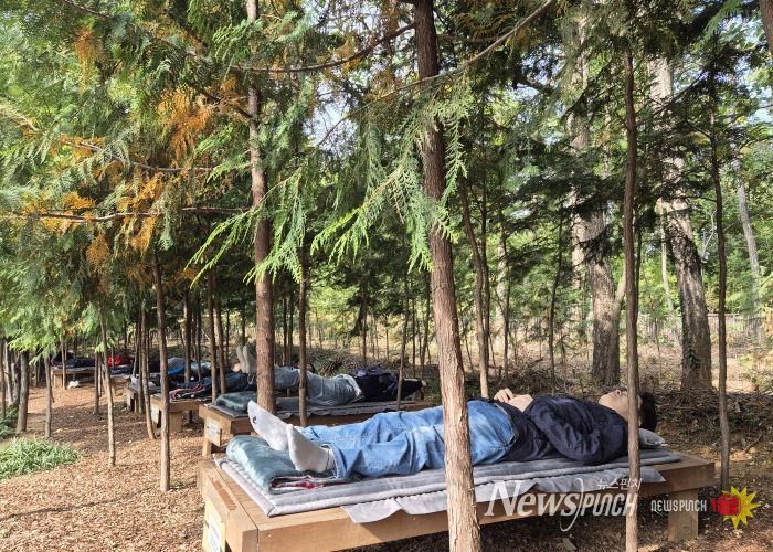 노원구, ‘불암산 힐링타운’서 세계 치유 전문가들 맞이