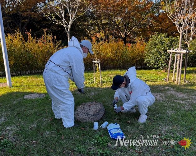 영광군, 동절기 모기 유충구제 집중 추진