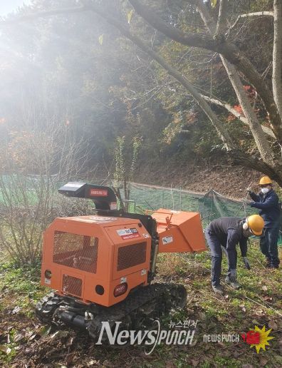 곡성군 파쇄지원단 활동 모습