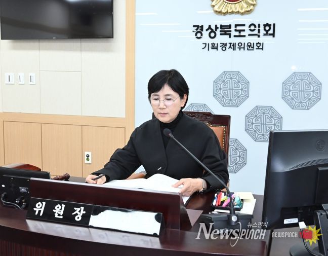 에너지국, 메타국 행감 진행하는 이선희 기획경제위원장