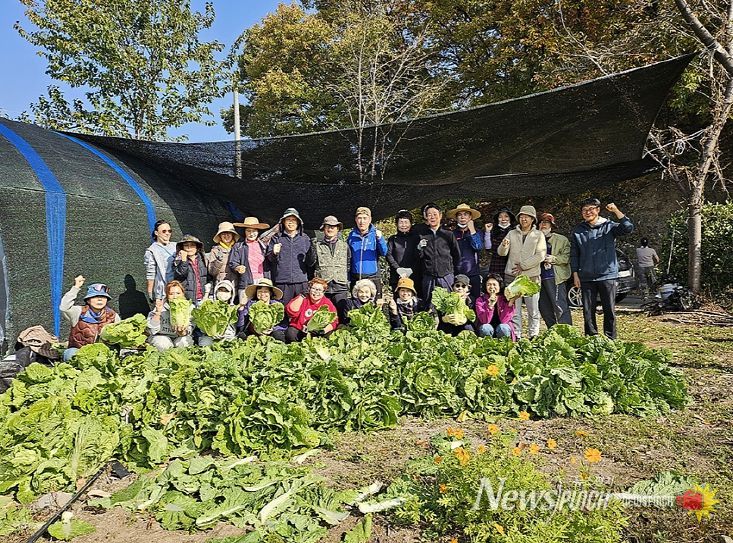 감자, 옥수수, 배추 등 다양한 작물 재배로 농심 체험