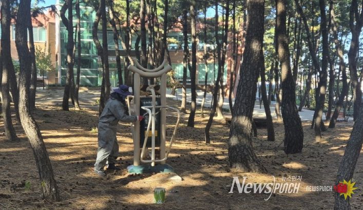 종려나무 월동 준비