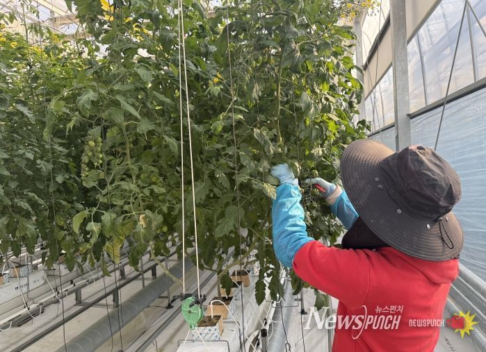 미래 농업을 이끌 청년들, 진안군 테스트베드에서 실습으로 배운다