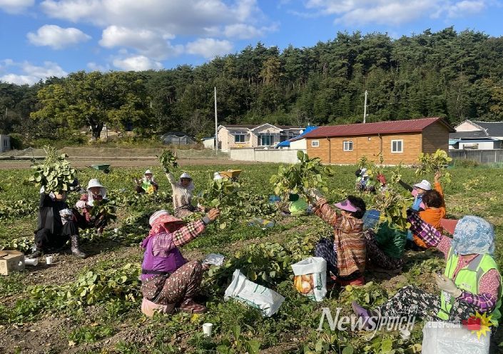부안군, 2026년 노인일자리 확대 추진