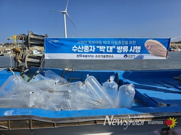 생태계 회복과 수산자원 증대를 위한 박대종자 5만미 옥도면 비안도 해역에 방류
