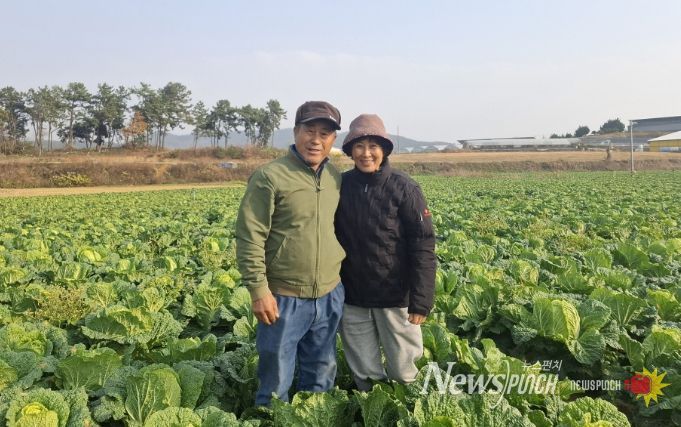 친환경농산물 사진