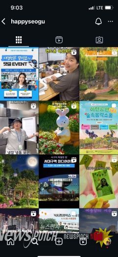 대구 서구청 인스타그램 캡처