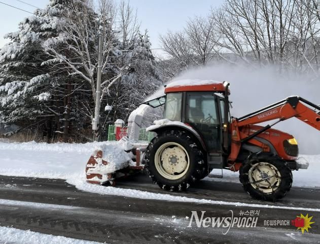 삼척시 제설 사진