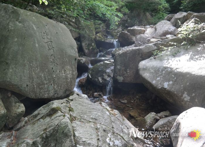 장흥 장천동과 팔경 암각문(세이담)