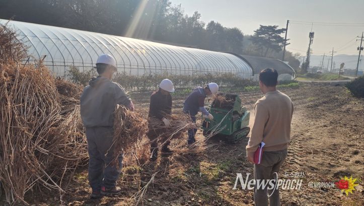 충남도, 영농부산물 연말까지 집중 파쇄 지원