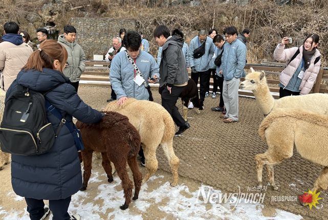 스포츠 투어상품 운영 현장