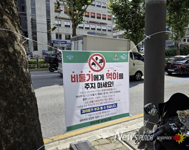 신림역 일대 남부순환로에 게첨된 비둘기 먹이주기 금지 안내문