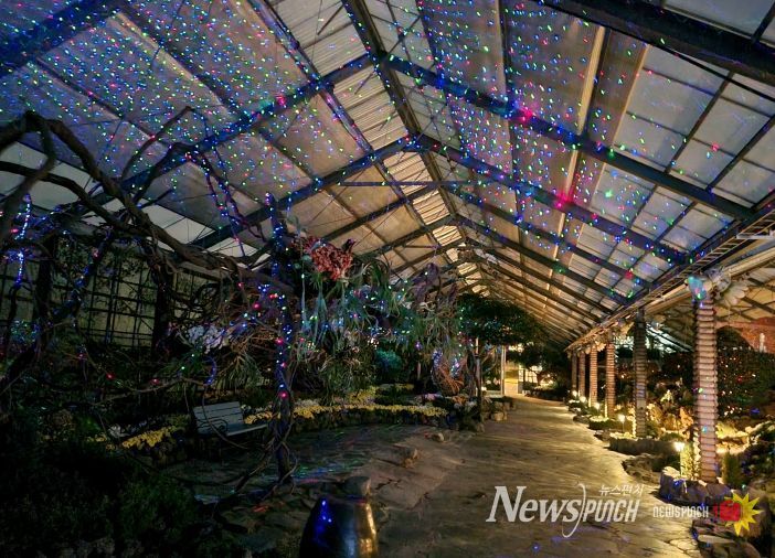 자연생태관 실내 연출 모습