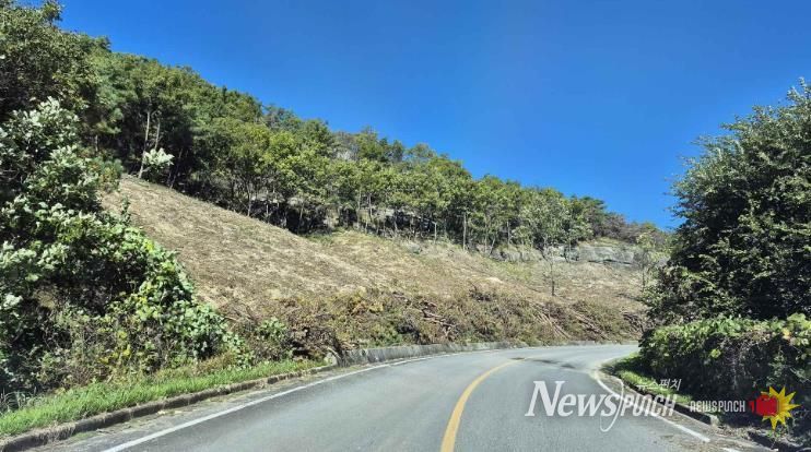 의성군, 1차 산불피해지 위험목 제거사업 추진 완료