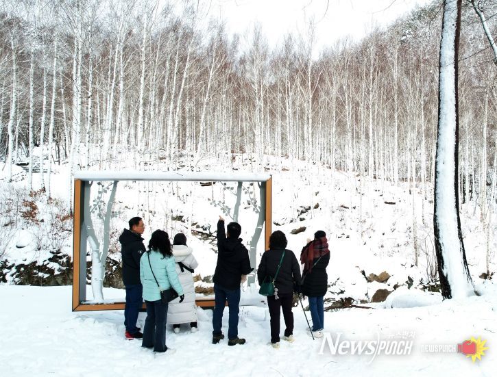 국립 영양자작누리 치유의숲