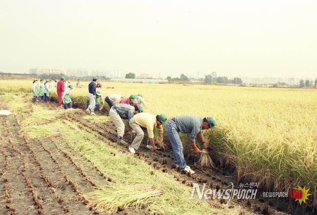 마곡지구 개발 이전 모습(1992년)