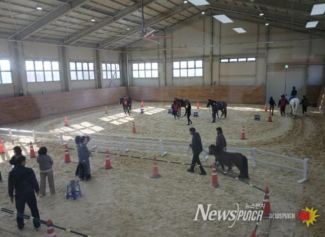 상주시,‘장애인(초중고) 겨울 재활 승마 캠프’시행