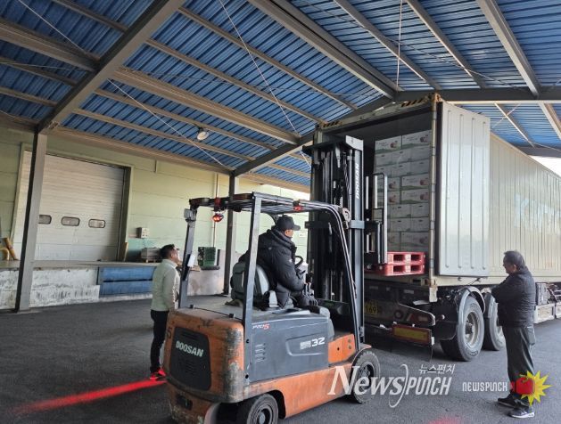 영주 사과 11톤, 싱가포르 수출길 올라