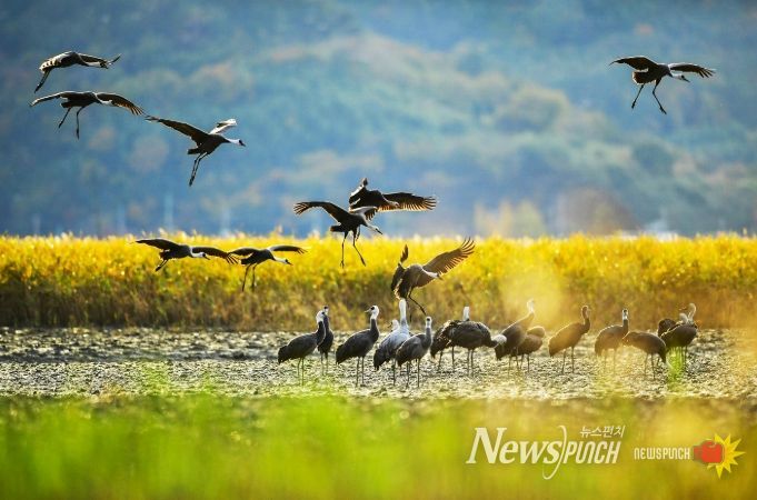 ‘한국 건강 지수’ 호남권 1위 선정