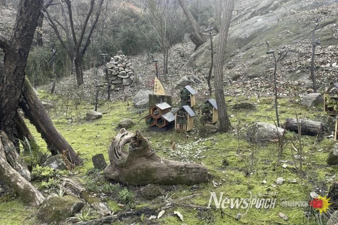 서대문구 안산(鞍山) 쉬나무 쉼터 일대 ‘이끼숲’에 조성된 일명 ‘곤충마을’