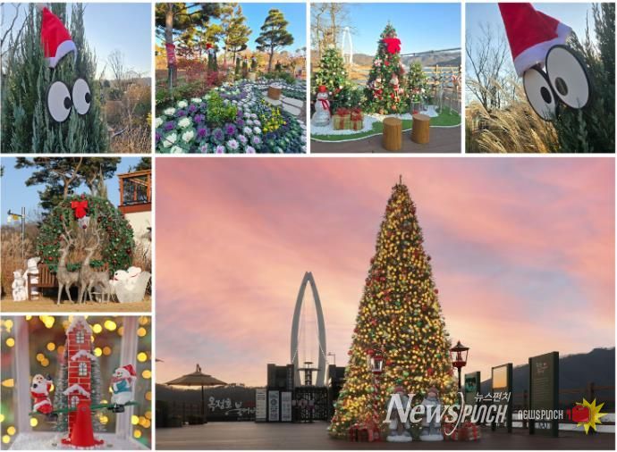 옥정호 출렁다리‧붕어섬 생태공원에도 ‘메리 크리스마스’…성탄 관광 저격